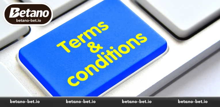 An introductory outline of the terms and conditions
